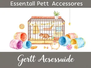 Accessori Essenziali per il Gerbillo: Guida Completa 2024
