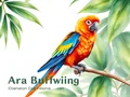 Ara Buffwing: Guida Completa, Cura e Informazioni