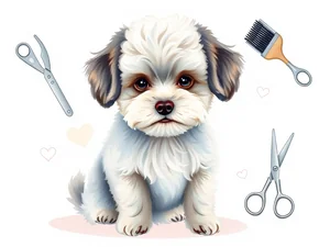 Barboncino Nano: Guida Completa a Cura e Benessere