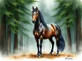 Cavallo Foresta Nera: storia, carattere e impieghi