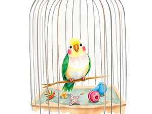 Costo di un uccello domestico: Guida ai prezzi 2025