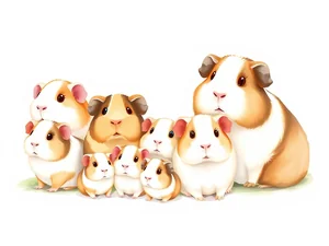 Dimensioni Cavie: Quanto Grandi Diventano?