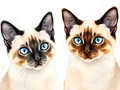 Gatti Siamesi: Sono Anallergici? La Verità