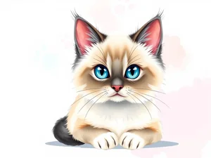 Gatto Ragdoll: 20+ Curiosità Verificate da Veterinari