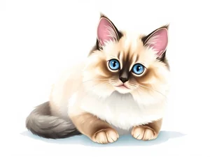 Gatto Ragdoll: Tutto quello che devi sapere