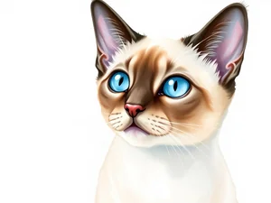 Gatto Siamese: Scopri le Curiosità Più Affascinanti
