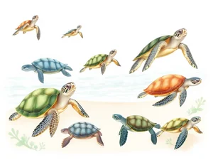 Identificazione Tartarughe: Guida a Caratteristiche e Tipi