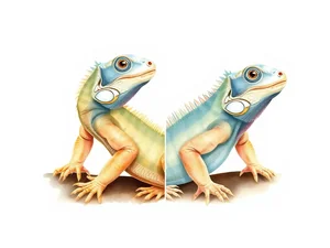 Iguana maschio o femmina: come distinguerle