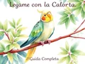 Legame con la Calopsitta: Guida Completa