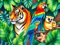 Leggi sugli animali esotici: cosa sapere