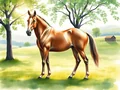 Peso cavallo: Quanto pesa in media un cavallo?