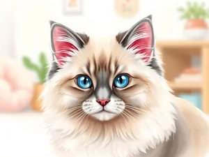 Ragdoll: Caratteristiche, Cura e Temperamento