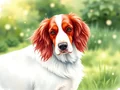 Setter Irlandese Bianco Rosso: Caratteristiche e Cura