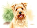 Soft Coated Wheaten Terrier: Tutto sulla Razza
