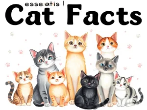 Statistiche sui Gatti: 15 Fatti Essenziali