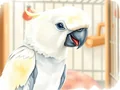 Uccello domestico morde: cause e soluzioni