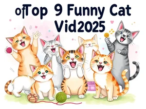 Video di Gatti Divertenti: Top 9 da Non Perdere nel 2025