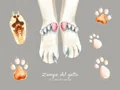Zampe del gatto: 11 cose che non sai